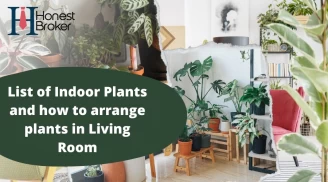 Indoor Plants For Living Room And How We Can Arrange Them For Better Living Experience 